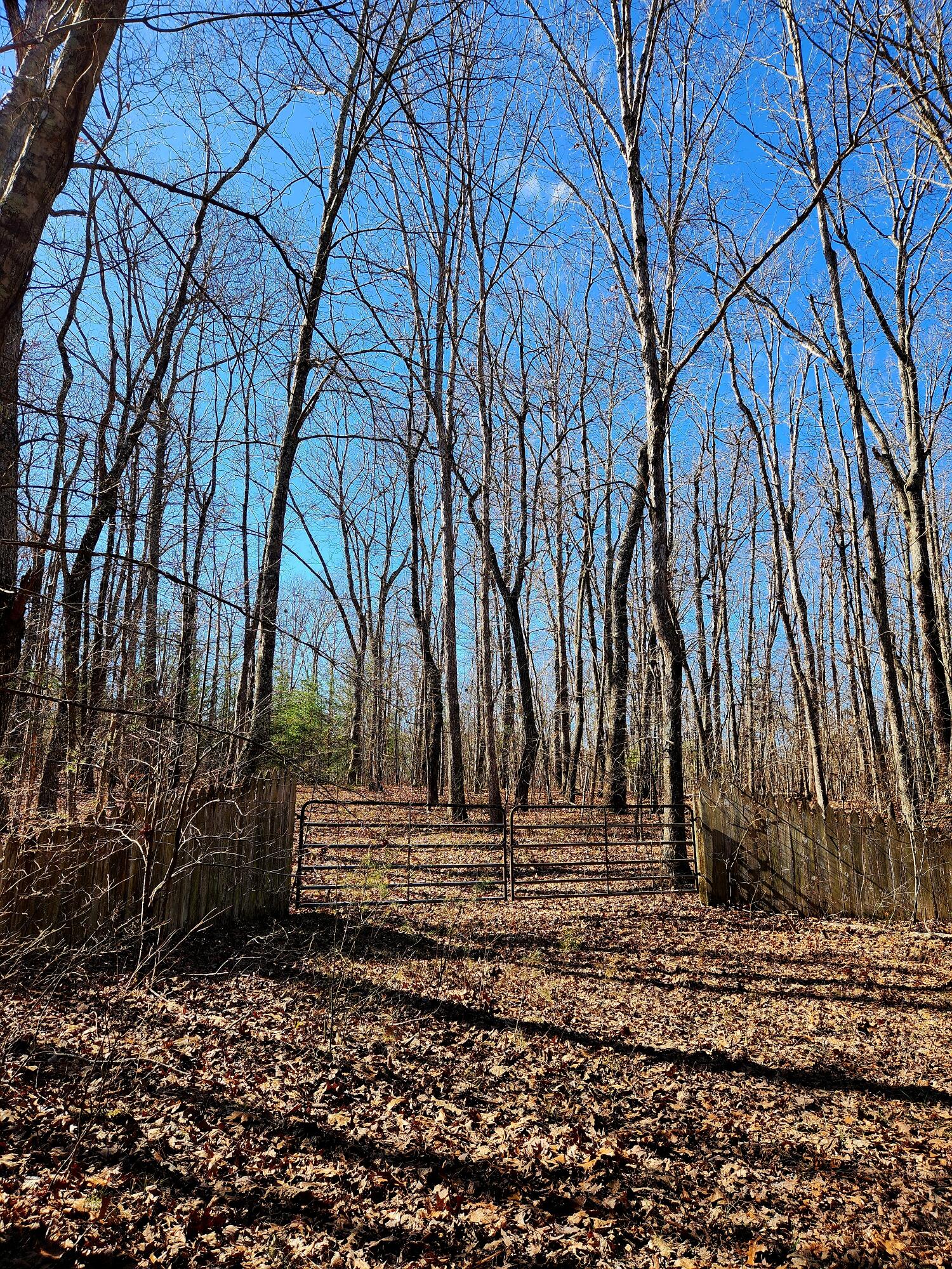 157 Highway, Rising Fawn, Georgia image 1