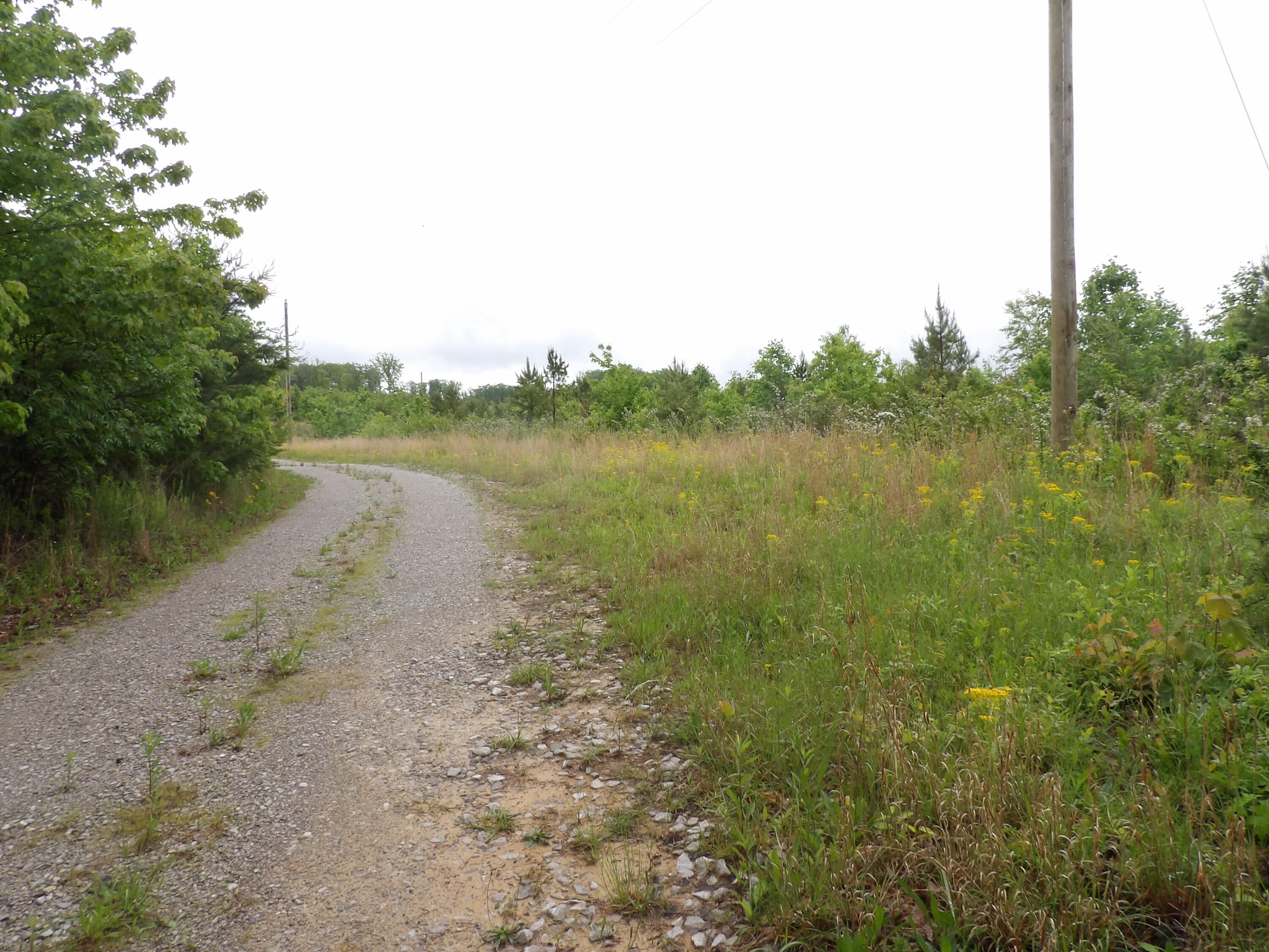 392 Hamilton Hollow Road, Crossville, Tennessee image 24