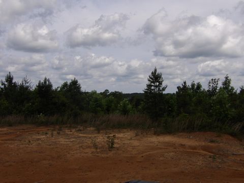 Tiny photo for 392 Hamilton Hollow Road, Crossville, TN 38572 (MLS # 1513240)