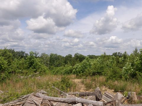 Tiny photo for 392 Hamilton Hollow Road, Crossville, TN 38572 (MLS # 1513240)