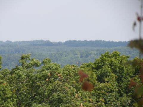 Tiny photo for 392 Hamilton Hollow Road, Crossville, TN 38572 (MLS # 1513240)