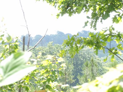 Tiny photo for 392 Hamilton Hollow Road, Crossville, TN 38572 (MLS # 1513240)