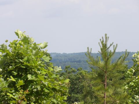 Tiny photo for 392 Hamilton Hollow Road, Crossville, TN 38572 (MLS # 1513240)