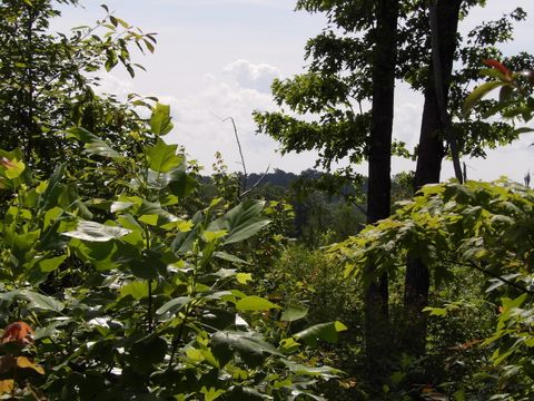 Tiny photo for 392 Hamilton Hollow Road, Crossville, TN 38572 (MLS # 1513240)