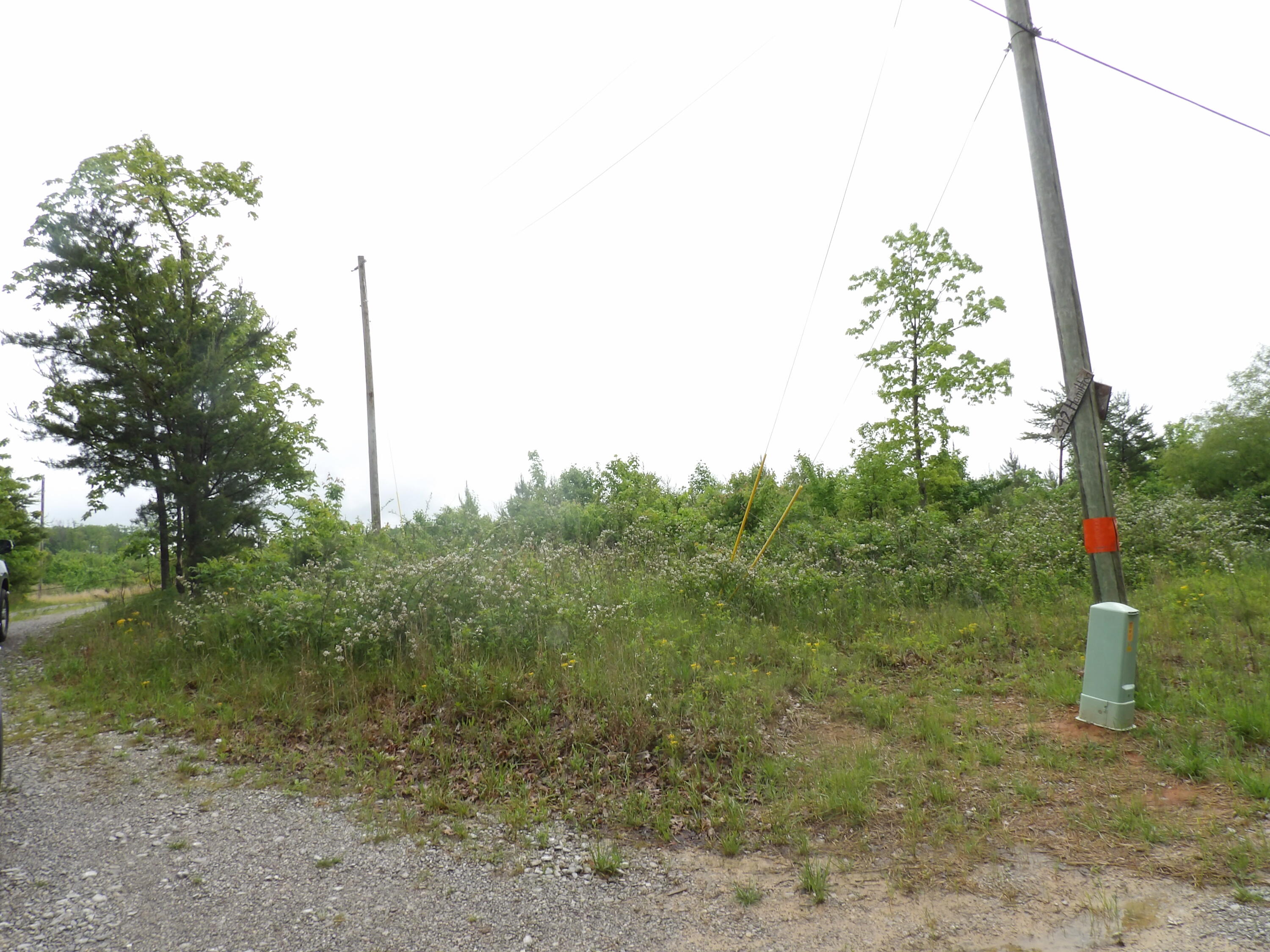 392 Hamilton Hollow Road, Crossville, Tennessee image 25