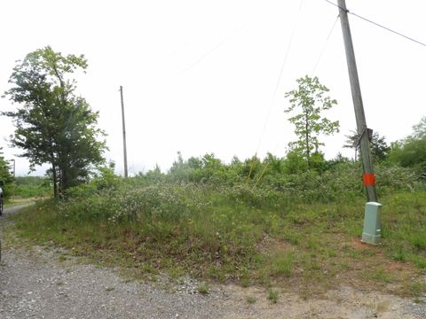 Tiny photo for 392 Hamilton Hollow Road, Crossville, TN 38572 (MLS # 1513240)