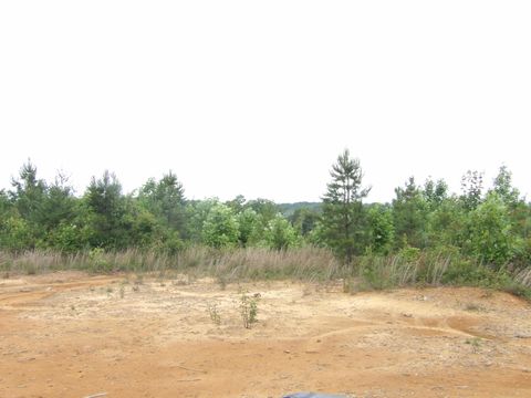 Tiny photo for 392 Hamilton Hollow Road, Crossville, TN 38572 (MLS # 1513240)