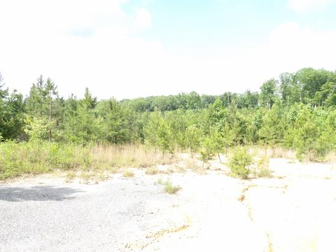 Tiny photo for 392 Hamilton Hollow Road, Crossville, TN 38572 (MLS # 1513240)