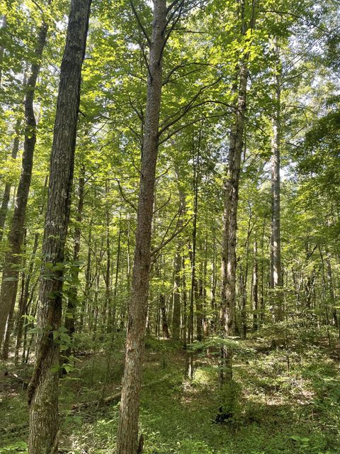 Tiny photo for 00 Cane Creek Road, Dunlap, TN 37327 (MLS # 1529455)