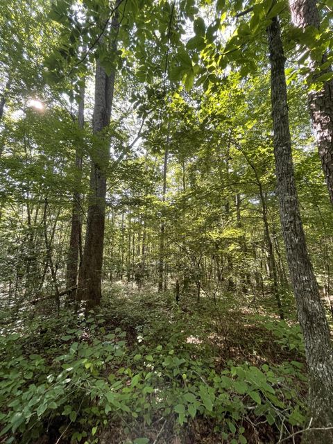 Tiny photo for 00 Cane Creek Road, Dunlap, TN 37327 (MLS # 1529455)