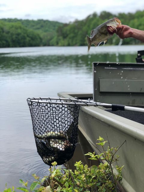 Tiny photo for 00 Cane Creek Road, Dunlap, TN 37327 (MLS # 1529455)