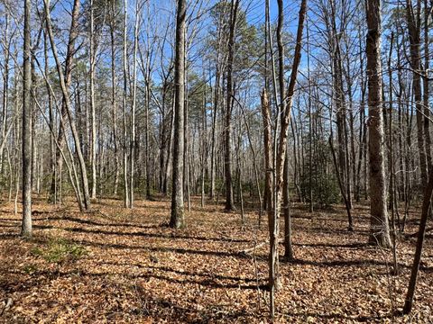 Tiny photo for 00 Cane Creek Road, Dunlap, TN 37327 (MLS # 1529455)