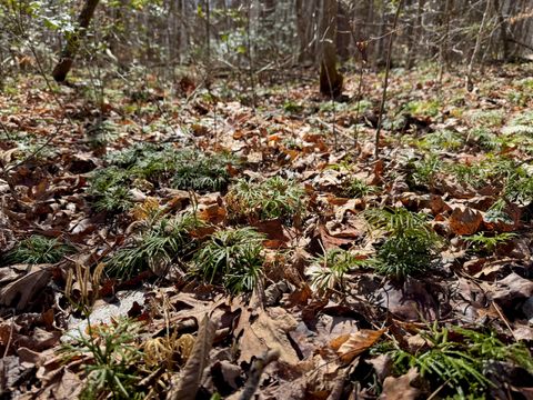 Tiny photo for 00 Cane Creek Road, Dunlap, TN 37327 (MLS # 1529455)