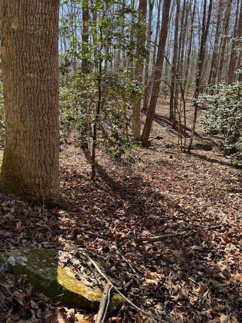 Tiny photo for 00 Cane Creek Road, Dunlap, TN 37327 (MLS # 1529455)