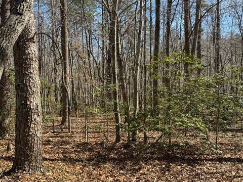 Tiny photo for 00 Cane Creek Road, Dunlap, TN 37327 (MLS # 1529455)