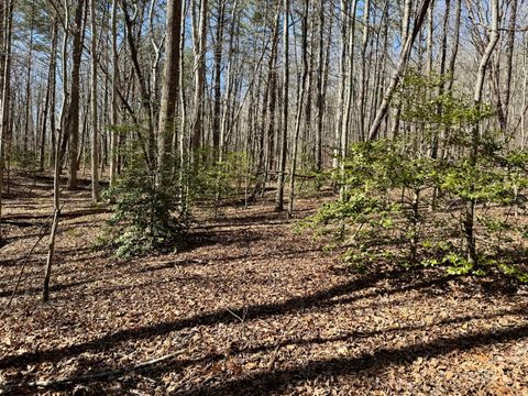 Tiny photo for 00 Cane Creek Road, Dunlap, TN 37327 (MLS # 1529455)