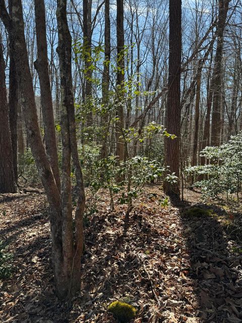 Tiny photo for 00 Cane Creek Road, Dunlap, TN 37327 (MLS # 1529455)