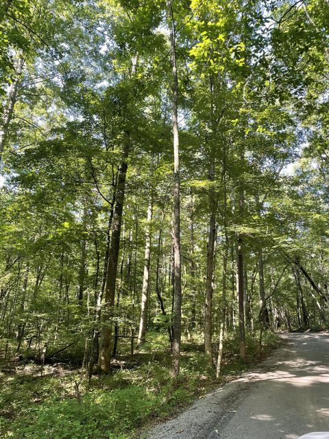 Tiny photo for 00 Cane Creek Road, Dunlap, TN 37327 (MLS # 1529455)
