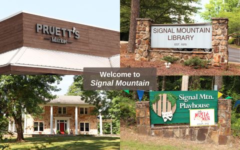 Tiny photo for 102 Sunnybrook Trail, Signal Mountain, TN 37377 (MLS # 1525506)