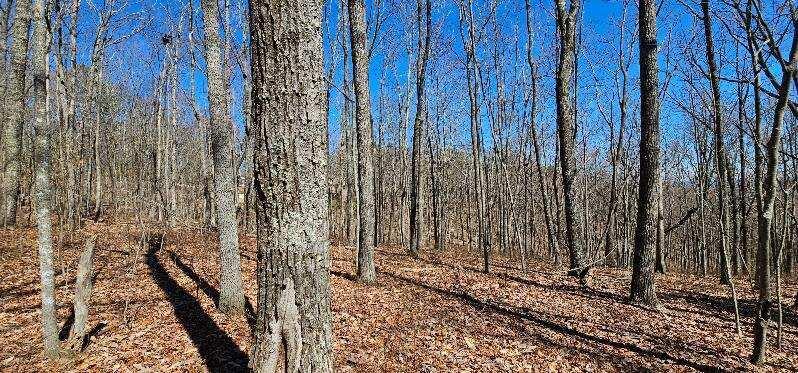 Bluff View Dr #529, Dunlap, Tennessee image 10