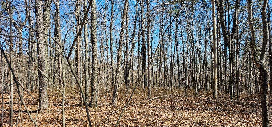 Bluff View Dr #529, Dunlap, Tennessee image 6