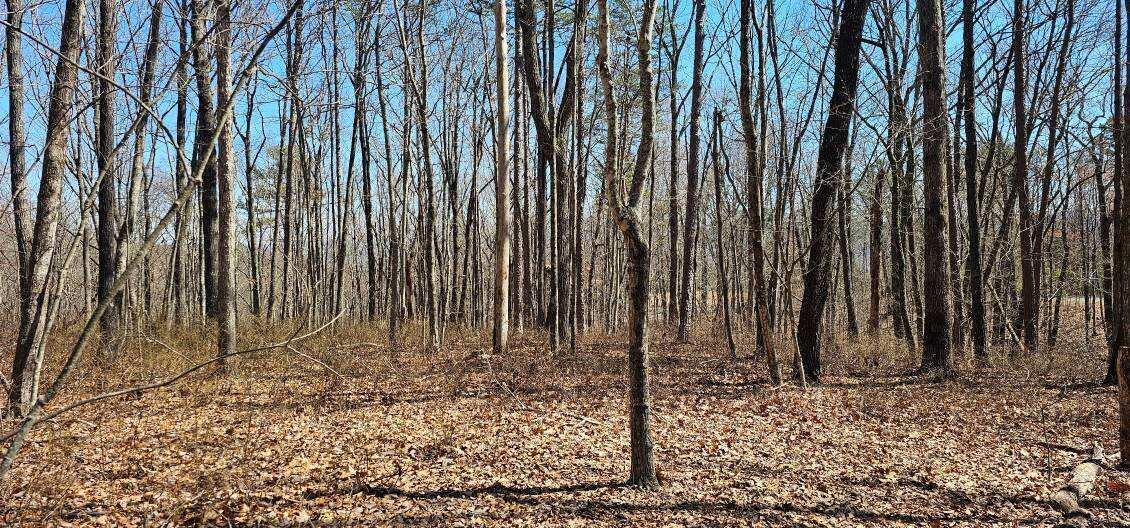 Bluff View Dr #529, Dunlap, Tennessee image 7