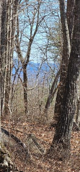 Bluff View Dr #529, Dunlap, Tennessee image 3
