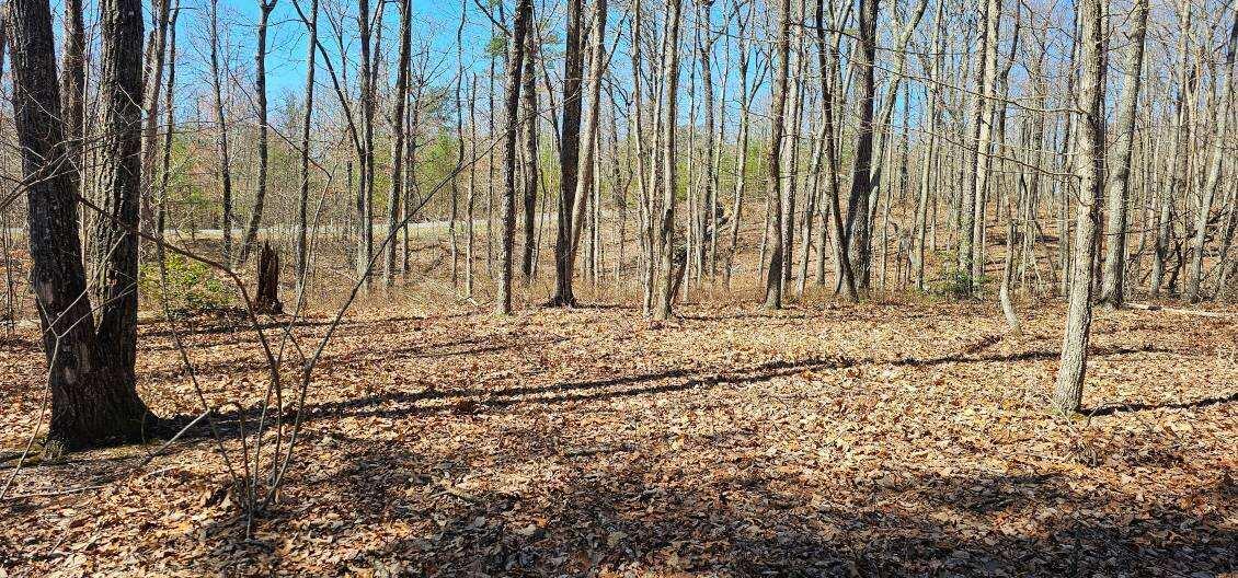 Bluff View Dr #529, Dunlap, Tennessee image 9