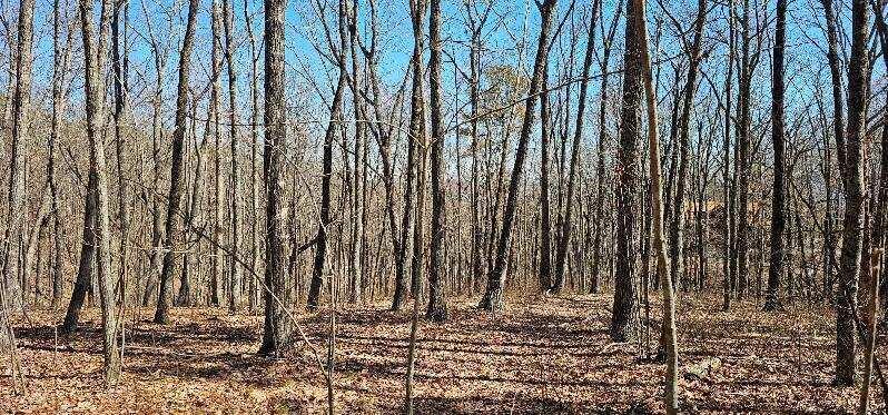 Bluff View Dr #529, Dunlap, Tennessee image 1