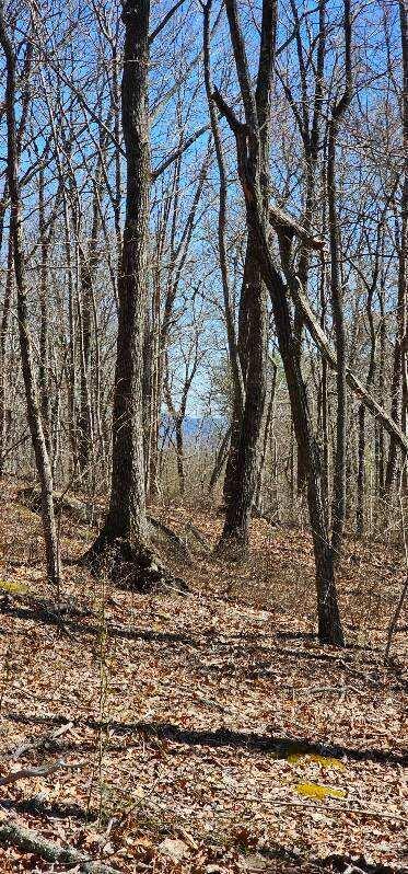 Bluff View Dr #529, Dunlap, Tennessee image 13