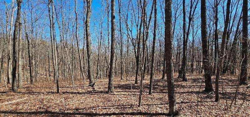 Bluff View Dr #529, Dunlap, Tennessee image 2