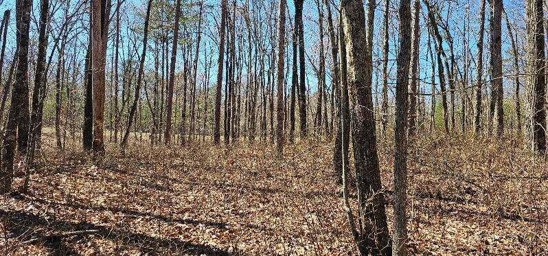 Bluff View Dr #529, Dunlap, Tennessee image 8