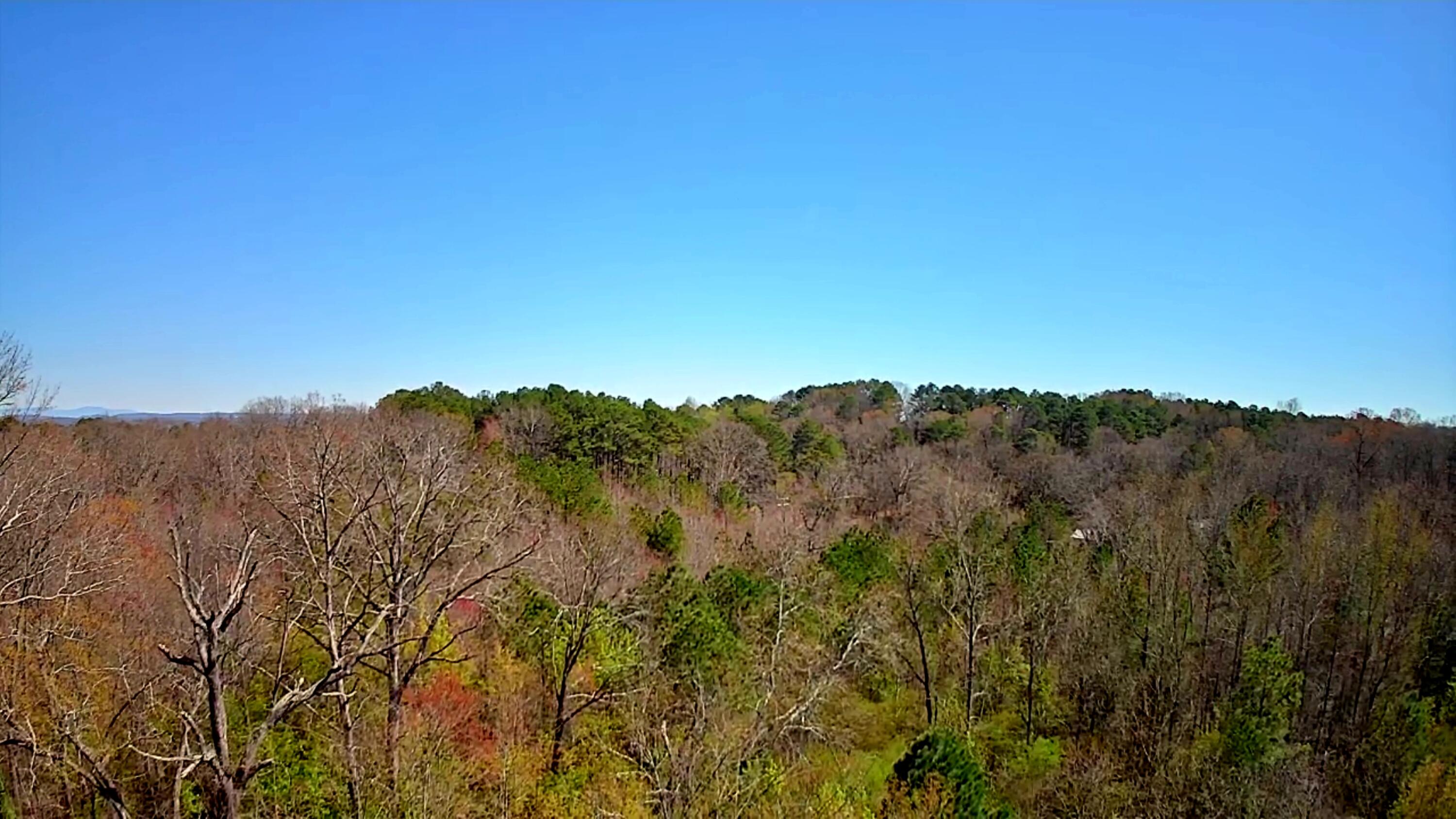 778 Mission Ridge Road, Rossville, Georgia image 30