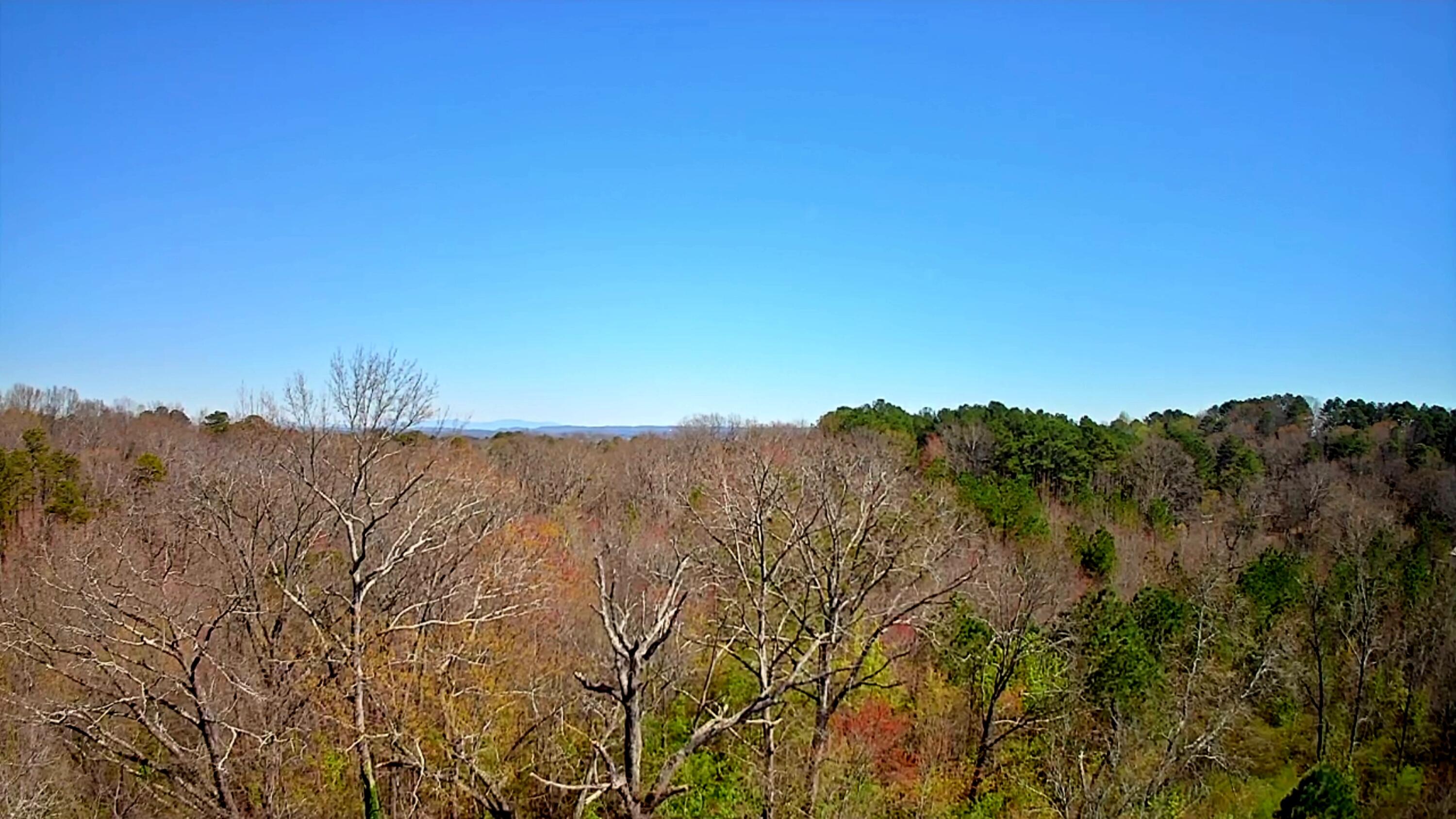 778 Mission Ridge Road, Rossville, Georgia image 29
