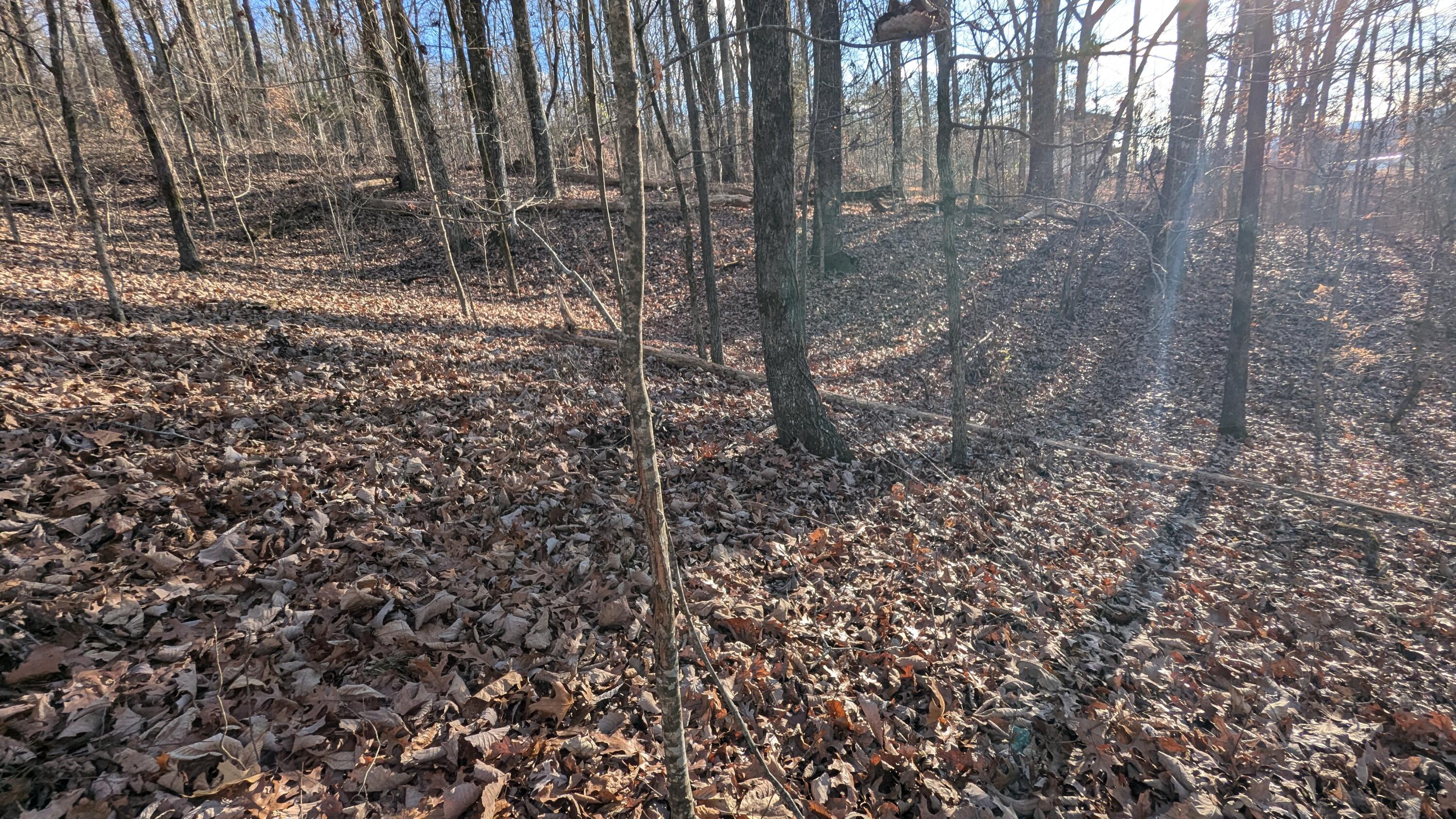 Candies Creek Ridge Road #LOT 1, Cleveland, Tennessee image 13