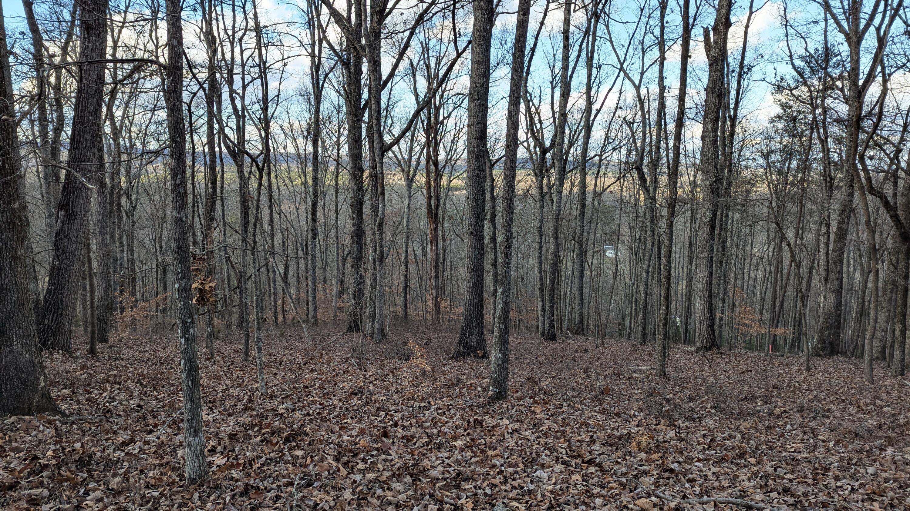 Candies Creek Ridge Road #LOT 1, Cleveland, Tennessee image 1