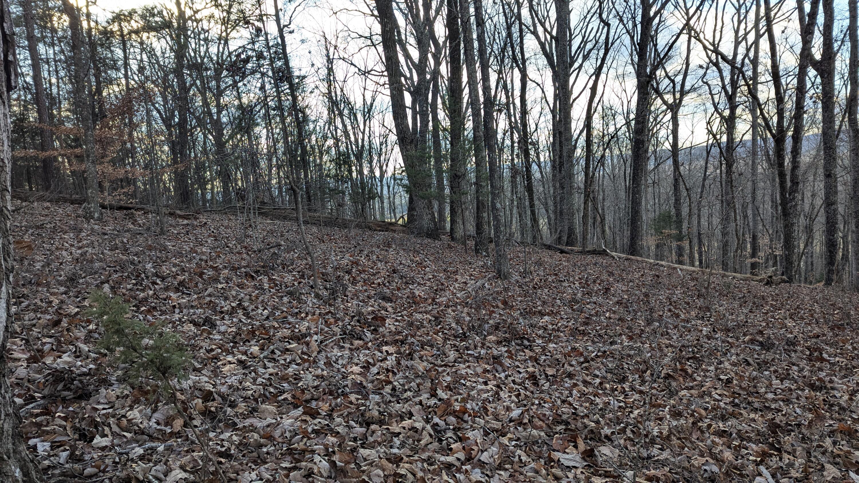 Candies Creek Ridge Road #LOT 1, Cleveland, Tennessee image 7