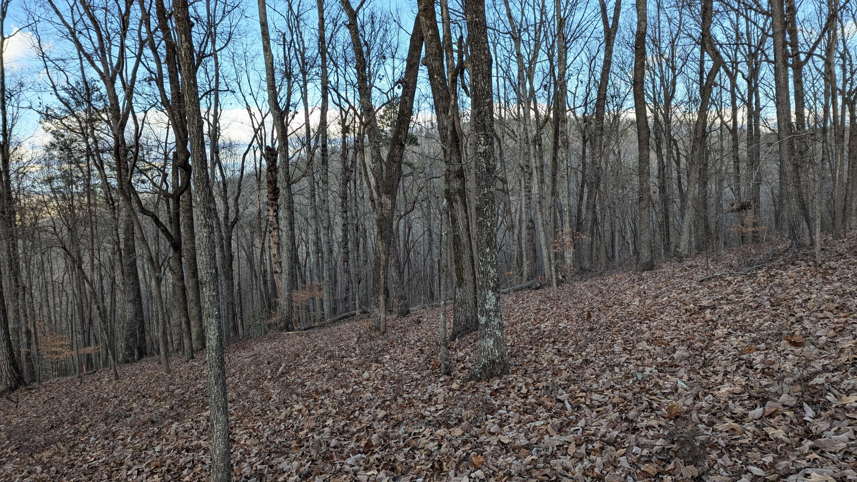 Candies Creek Ridge Road #LOT 1, Cleveland, Tennessee image 3