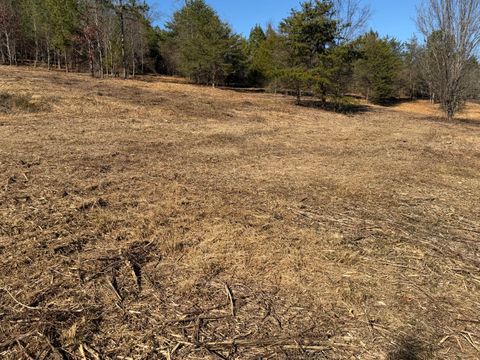 Tiny photo for 00 Majestic Heights, Ringgold, GA 30736 (MLS # 1525276)