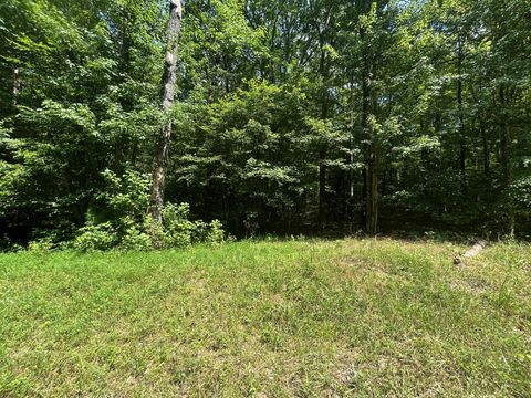Tiny photo for Lakeview 1 Highway 304, Ten Mile, TN 37380 (MLS # 1527301)