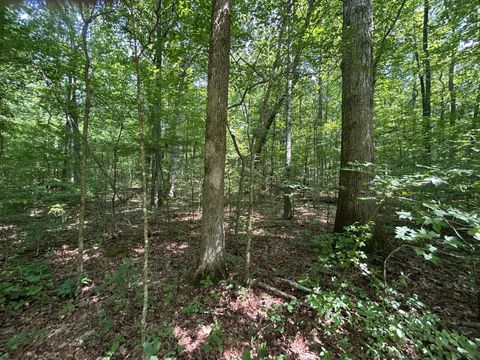 Tiny photo for Lakeview 1 Highway 304, Ten Mile, TN 37380 (MLS # 1527301)