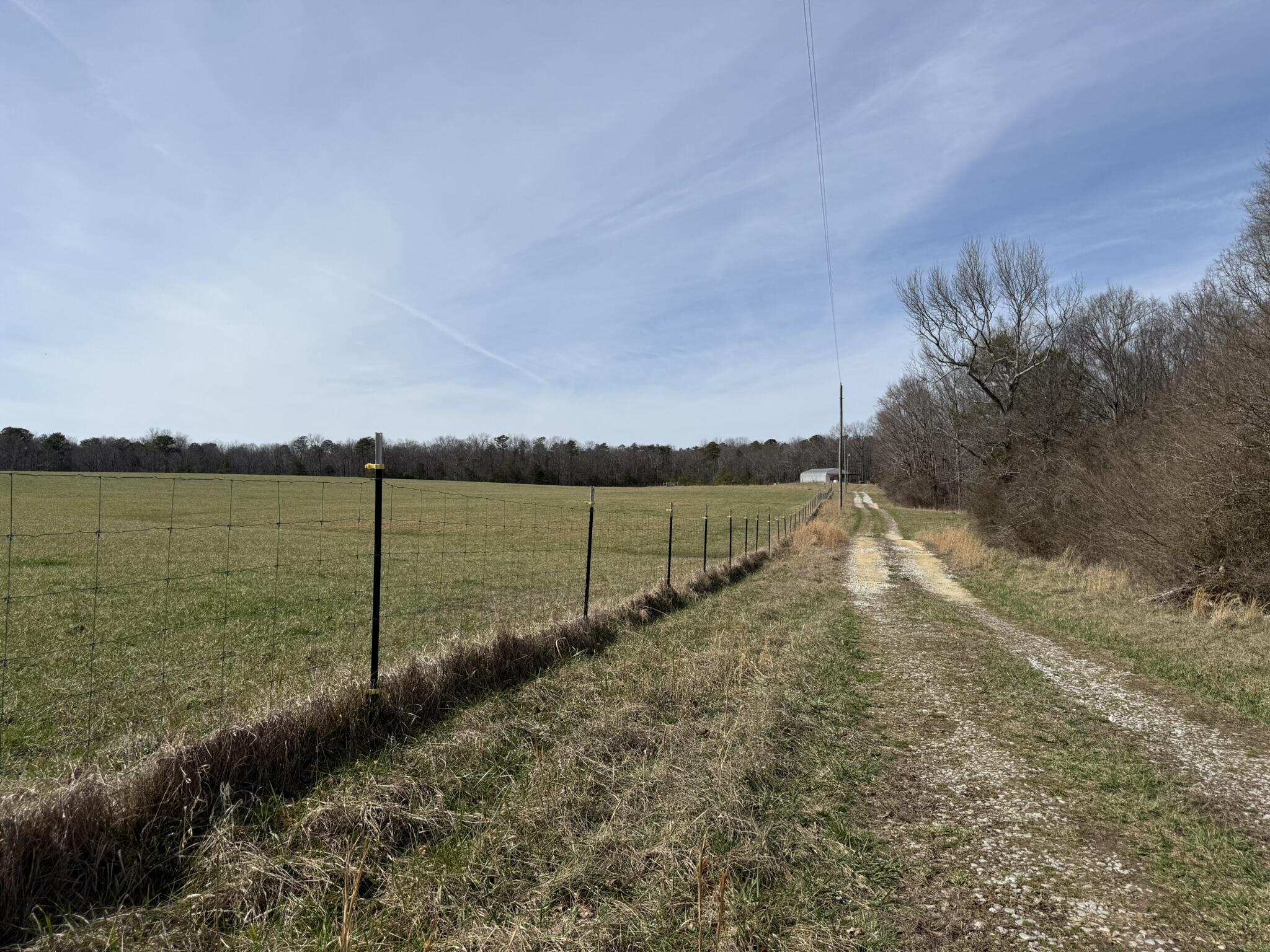 2300 Co Rd 131, Bryant, Alabama image 7