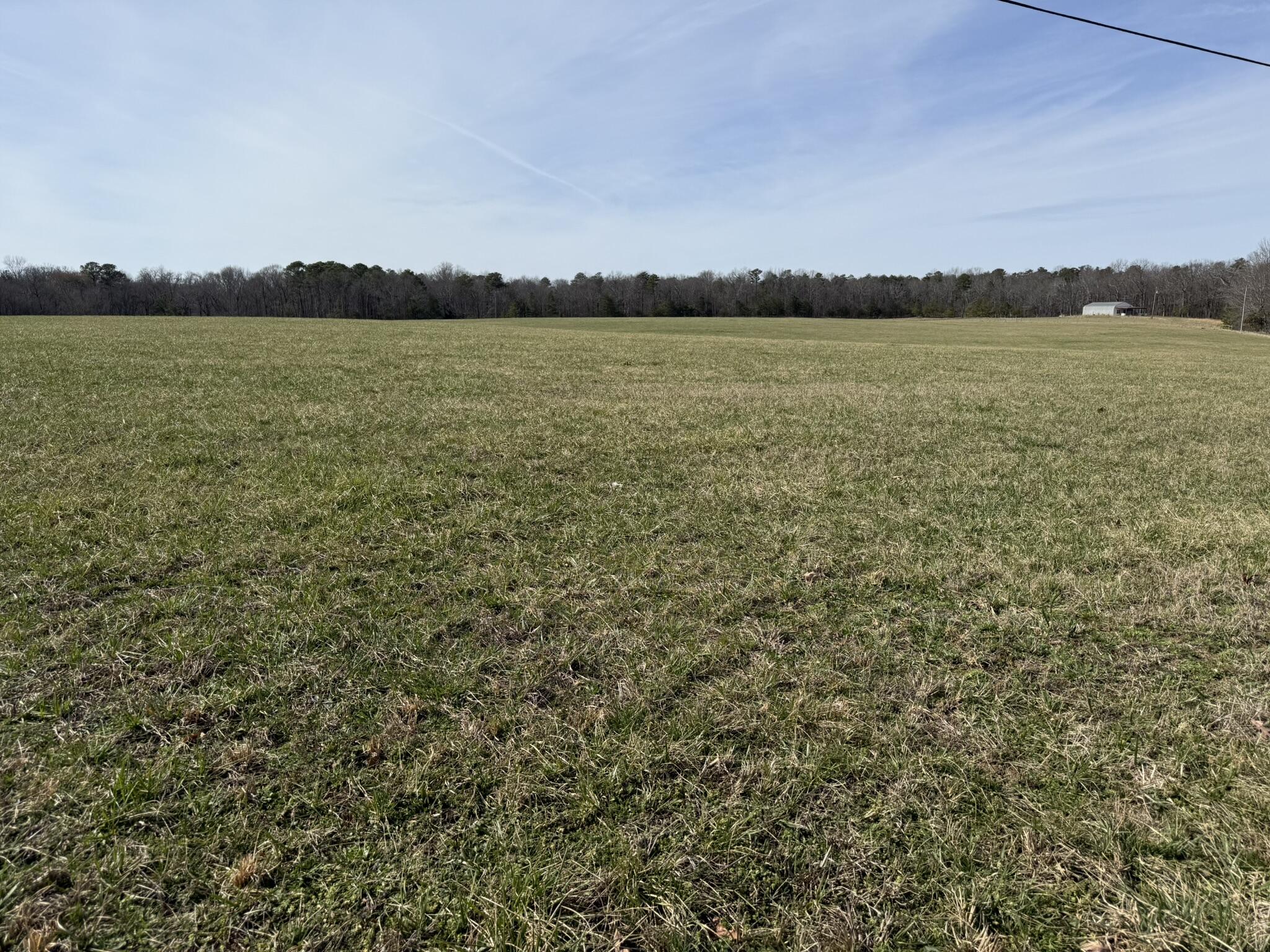 2300 Co Rd 131, Bryant, Alabama image 15