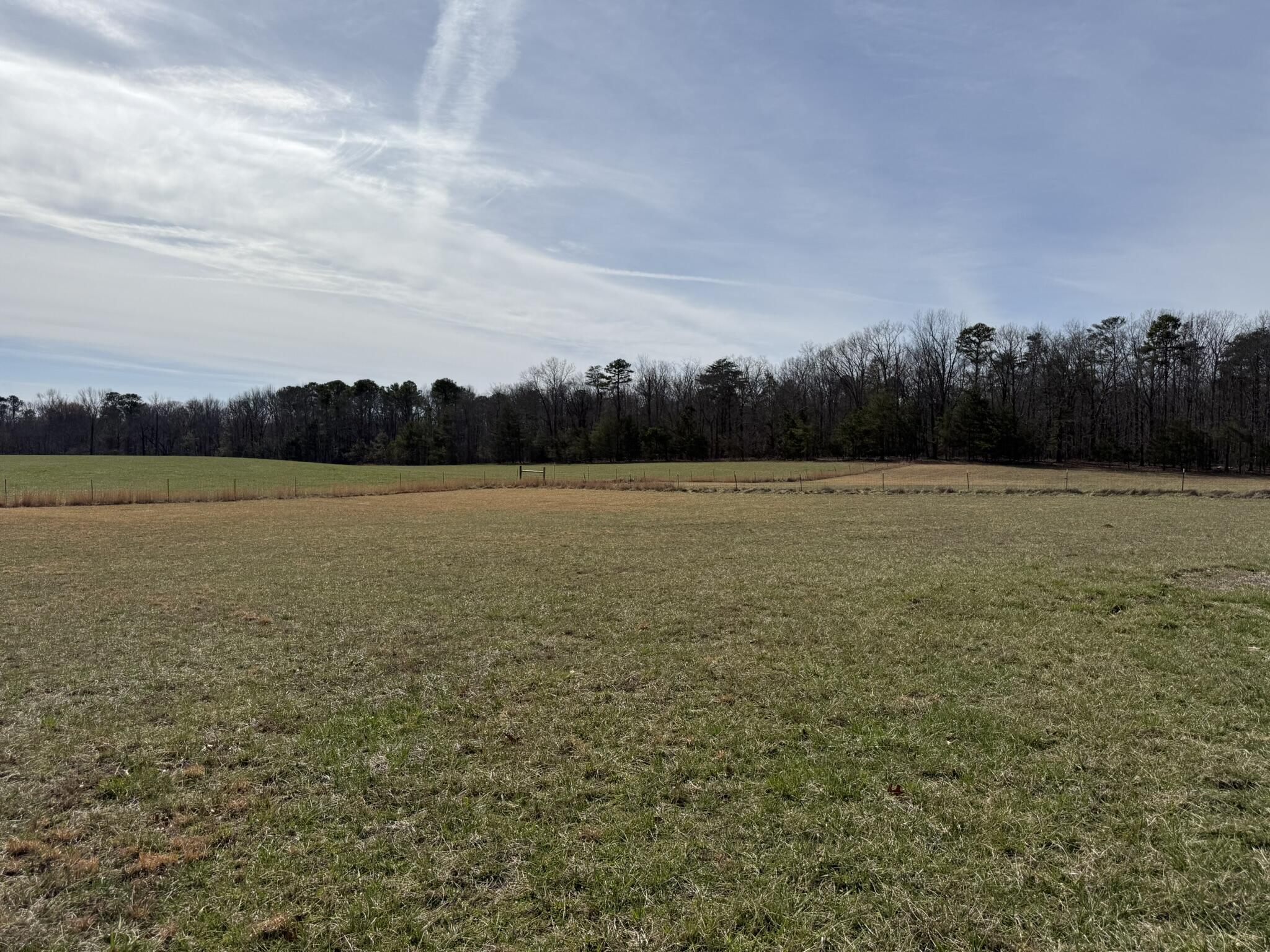 2300 Co Rd 131, Bryant, Alabama image 21