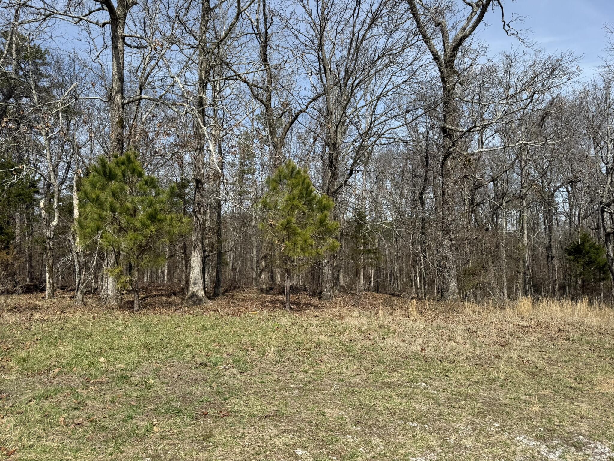 2300 Co Rd 131, Bryant, Alabama image 18
