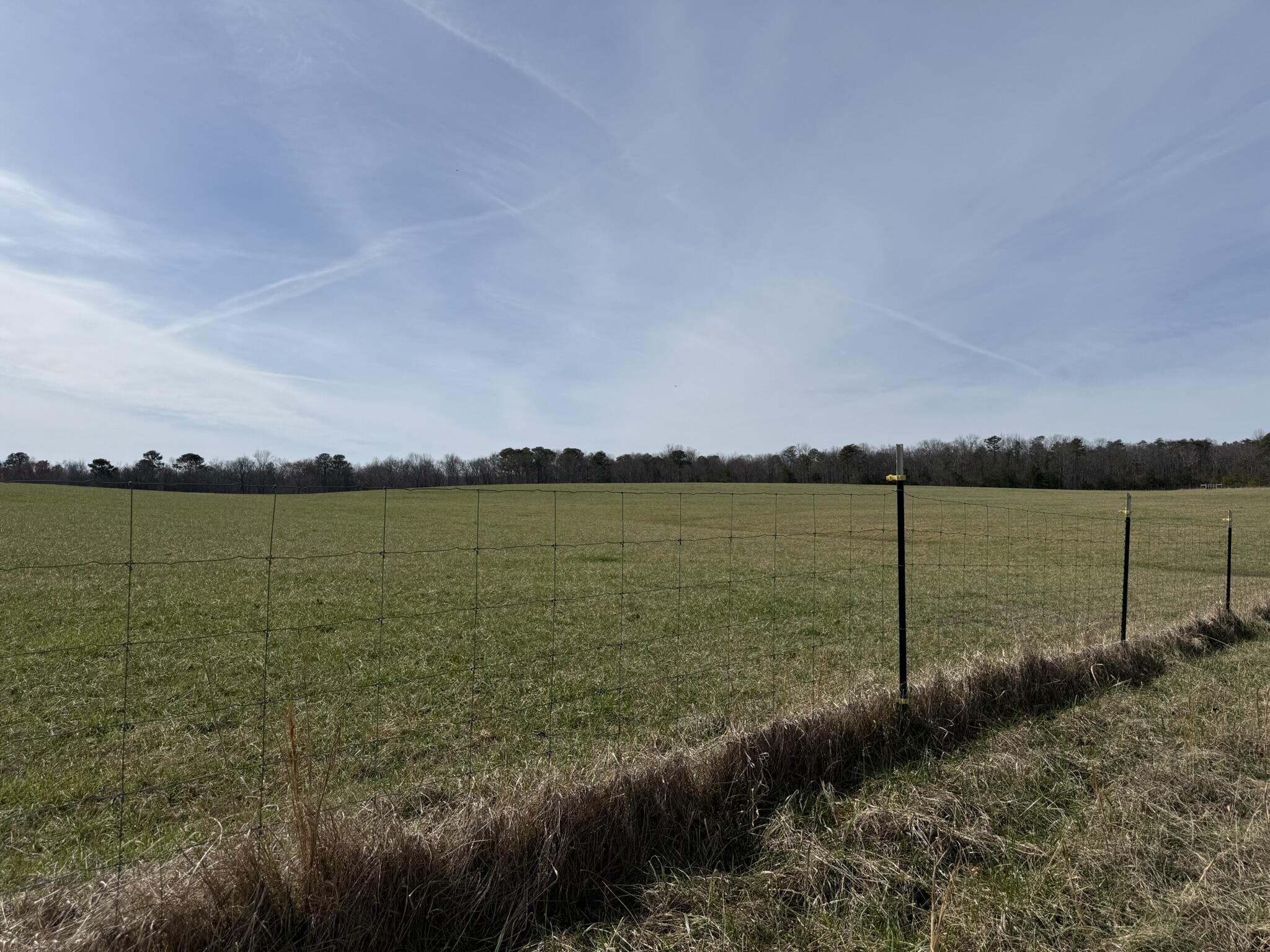 2300 Co Rd 131, Bryant, Alabama image 17
