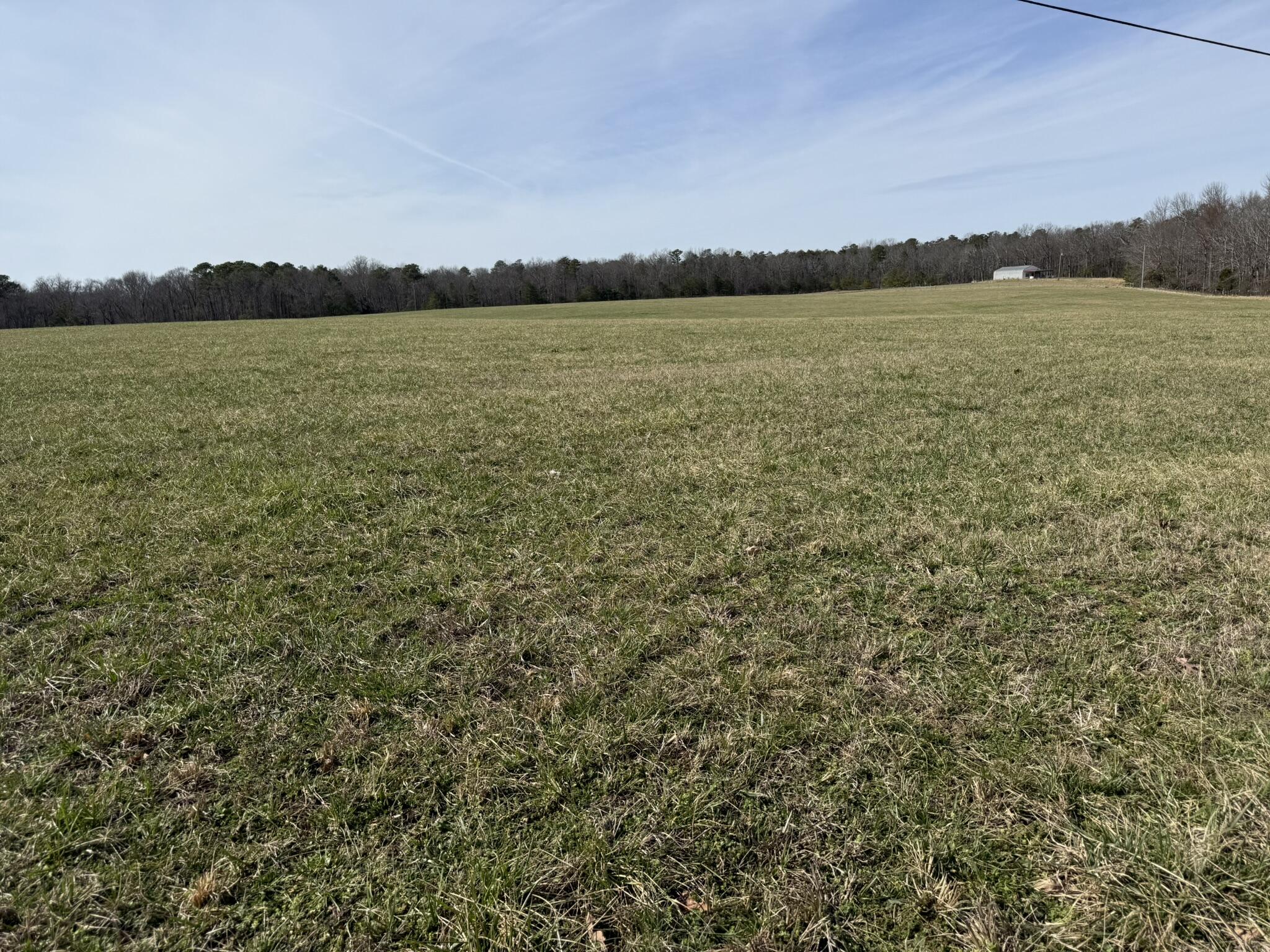 2300 Co Rd 131, Bryant, Alabama image 14