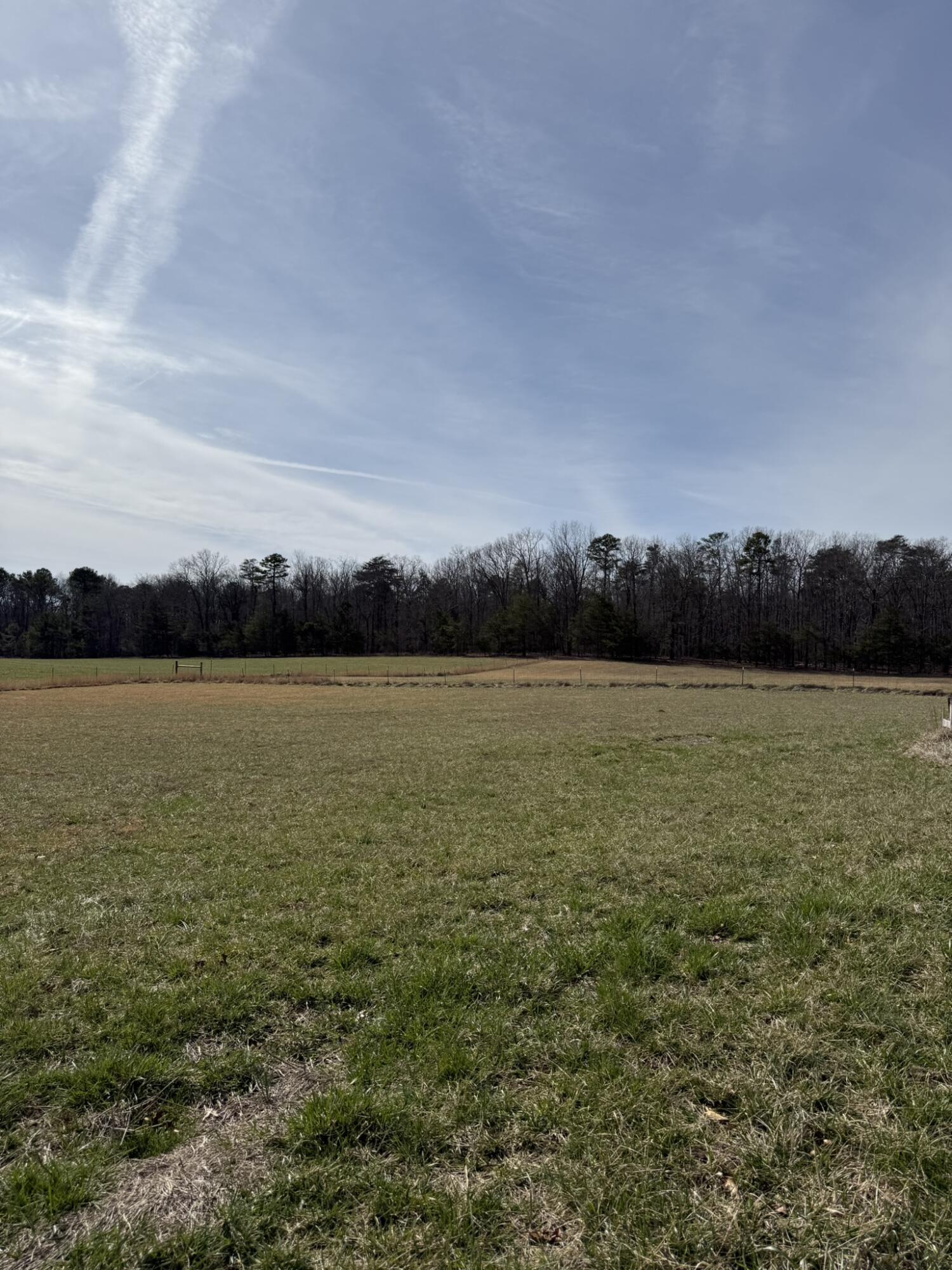 2300 Co Rd 131, Bryant, Alabama image 20