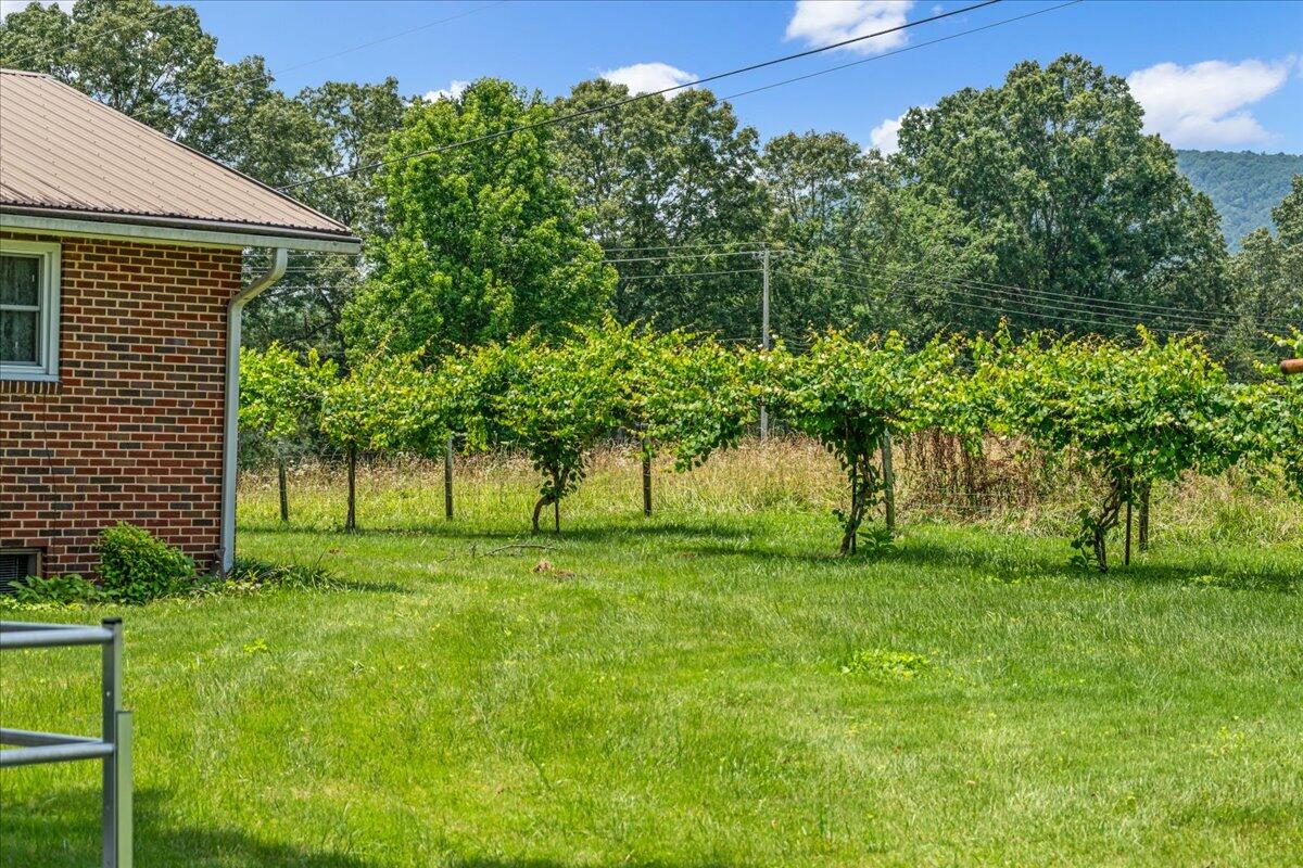 Whitwell, Tennessee, 37397, United States, 3 Bedrooms Bedrooms, ,2 BathroomsBathrooms,Residential,Active,2030594