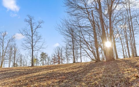 Tiny photo for Lot Lg1 Lake George Drive, Dunlap, TN 37327 (MLS # 1525045)